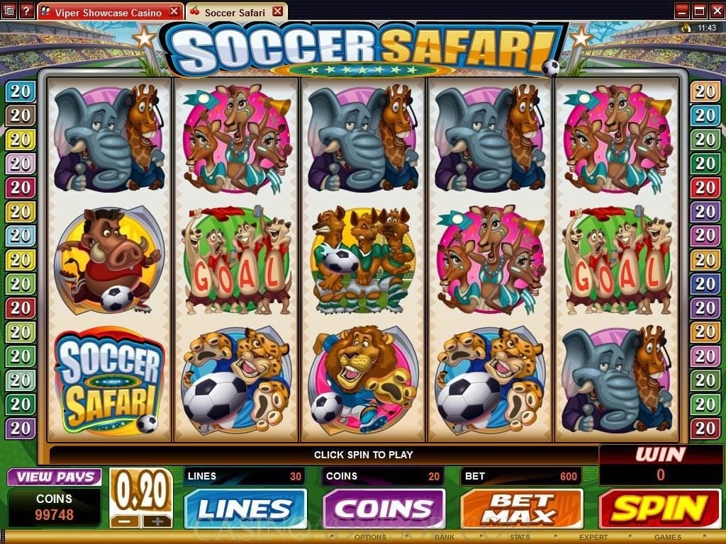 soccer_safari