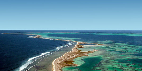Abrolhos-Islands-Western-Australia-Credit-Australia's-Coral-Coast-2 abrolhos islands
