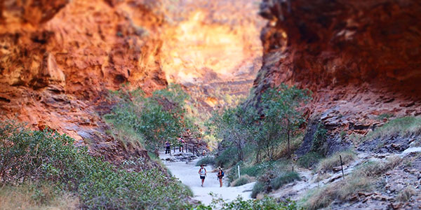 Bungle-Bungles-KWE-2 Kimberley Tours - bungle bungles north west australia