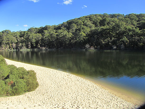 lake wabby fraser island