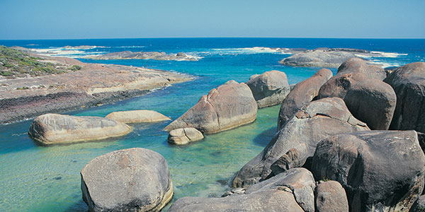 Elephant-Rocks-William-Bay-Tourism-WA elephant rocks south west australia