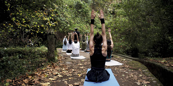 winter wellness breaks