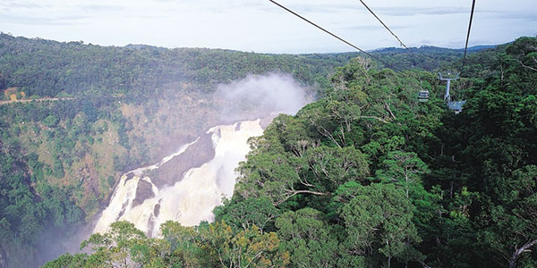 skyrail-panoramic Skyrail rainforest cableway