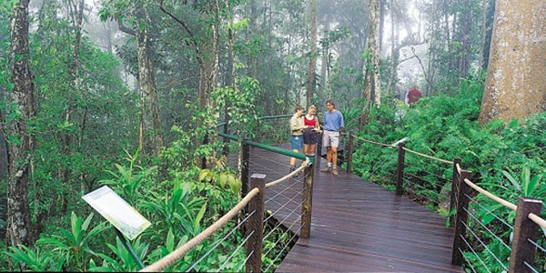 Sky rail walk