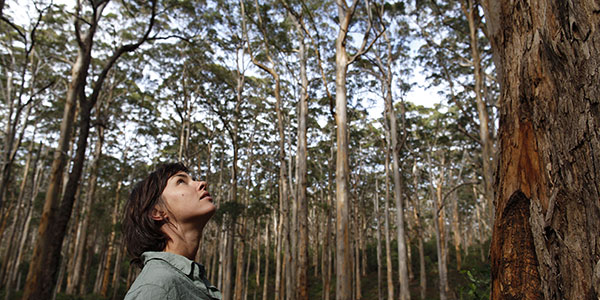 boranup forest retreat