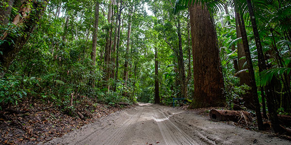 Fraser Island