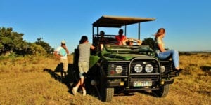 Safari jeep