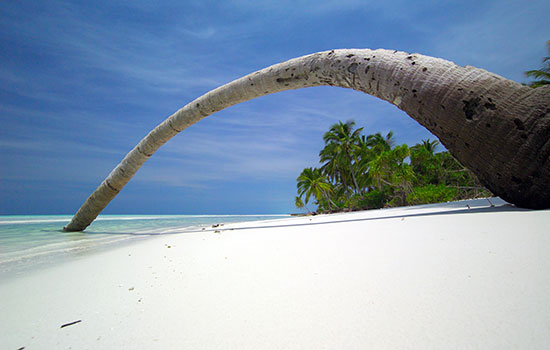 the maldives beach