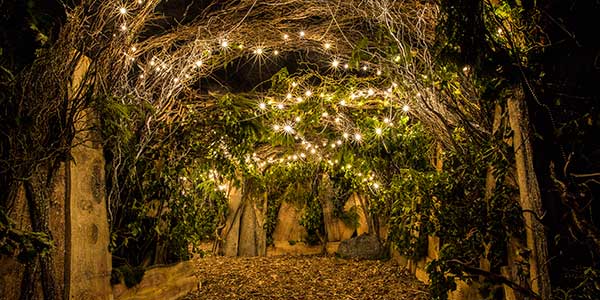 backyard-cinema backyard cinema winterville london