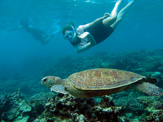Perth to Broome Tours Western Australia