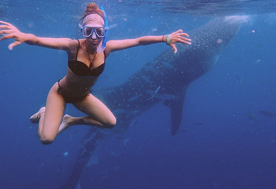 Exmouth Whale Shark Tour