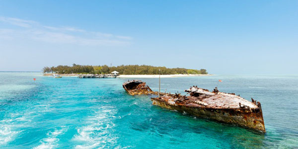 heron-island-shipwreck heron island shipwreck