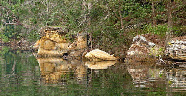 tour guide sydney outback