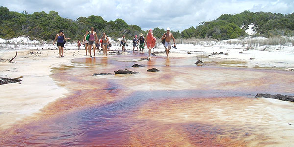 Drop-Bear-Lake-Boomanjin-Fraser-Island Fraser Island adventure tours