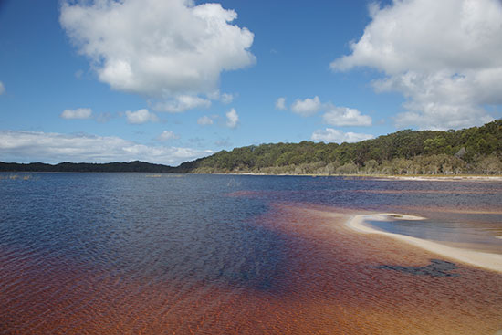 fraser island lake boomanjin