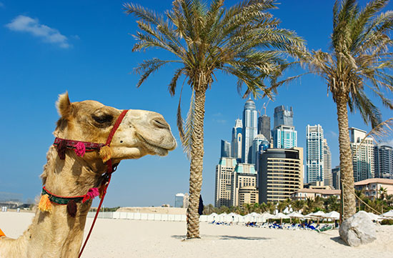 round the world travel ideas
