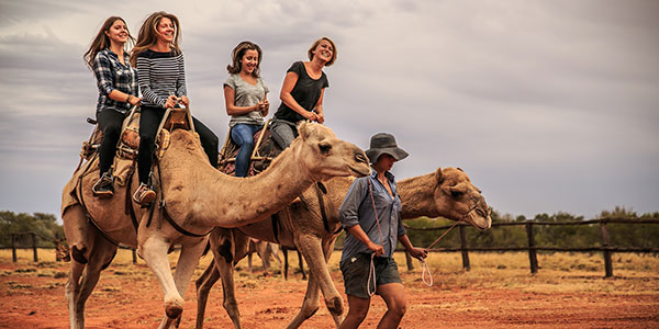 Mulgas-Adventures-Kings-Creek-Station-Camel-Ride free camel ride in the red centre