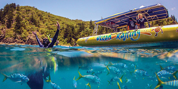 snorkelling the whitsundays