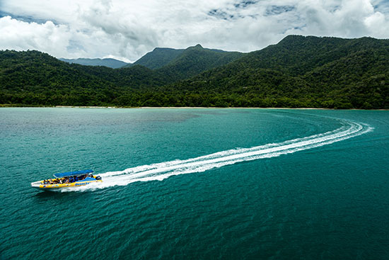 ocean safari tropical north queensland