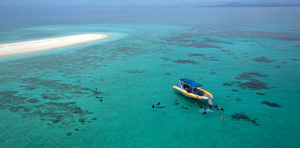 ocean safari tropical north queensland