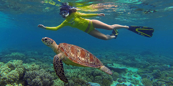 Ocean-Safari-turtle-girl-1 ocean safari tropical north queensland