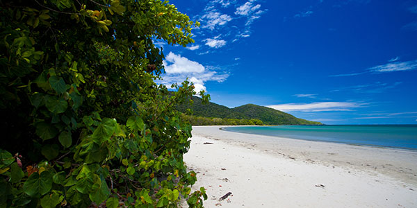 cape-tribulation-beach-house Cape Tribulation Norther Queensland