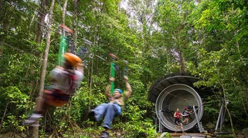 jungle-surfing-hamster-wheel jungle surfing daintree rainforest