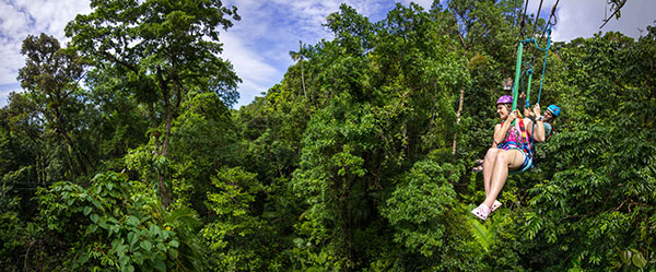 jungle-surfing-panoramic jungle surfing daintree rainforest