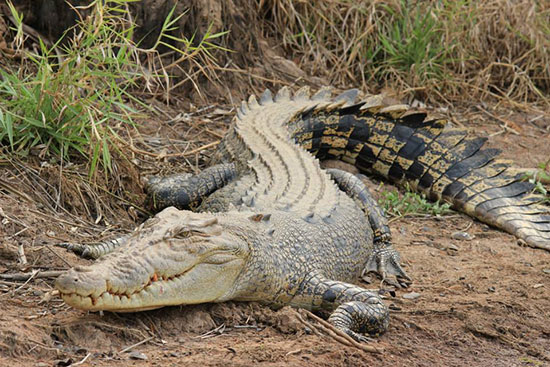 long weekend in kakadu national park