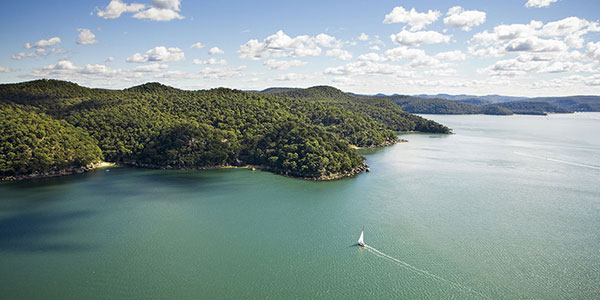 ku-ring-gai-chase-destination-nsw sydney outback ku-ring-gai chase national park