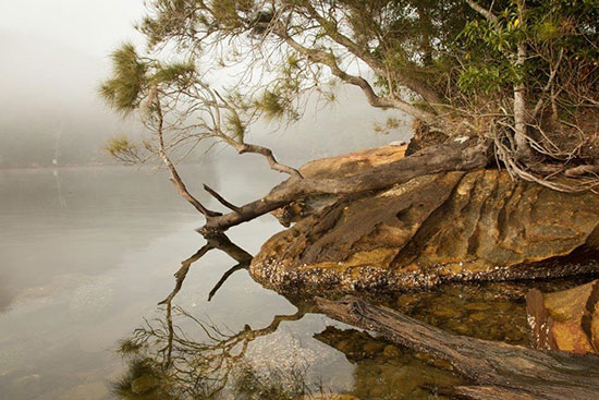 sydney outback ku-ring-gai chase national park