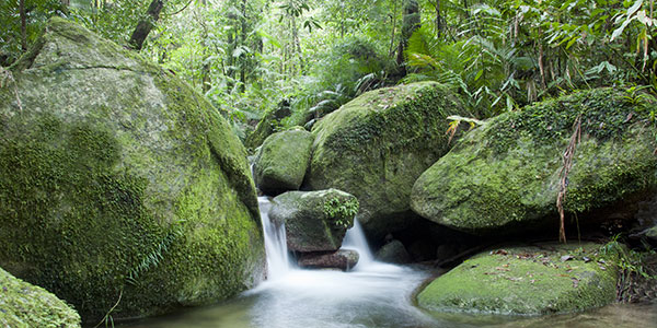 reefs and rainforests australia