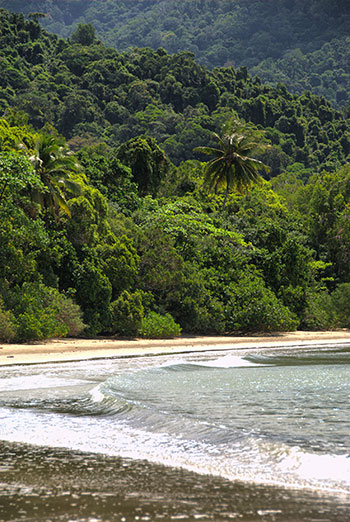 Cape Tribulation