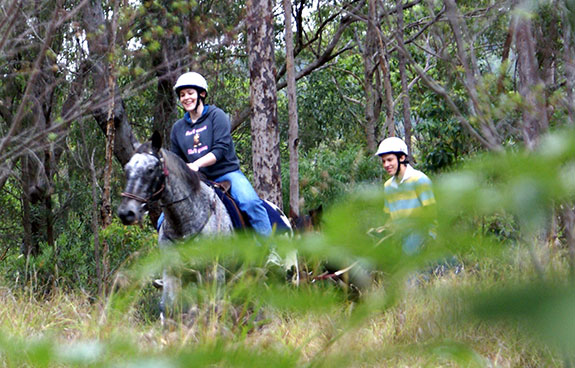 thunderbird park family holidays