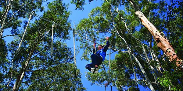 thunderbird-park-Ride-a-flying-fox-through-the-treetops thunderbird park family holidays