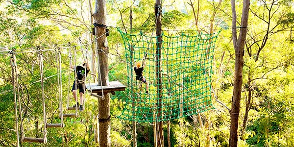 thunderbird-park-treetop thunderbird park