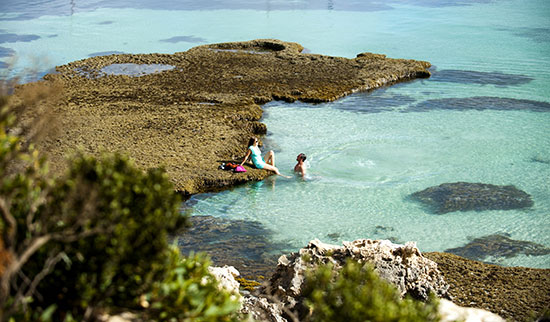 summer days on kangaroo island vivonne bay