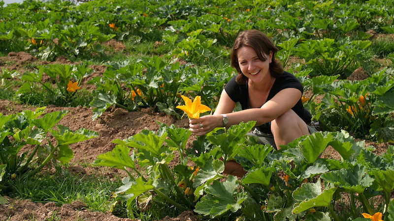 working-holiday-maker Farm work for working holiday makers