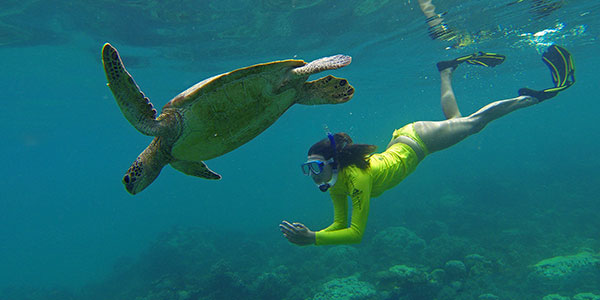Ocean-Safari-turtle-girl-2 day tours from cape tribulation