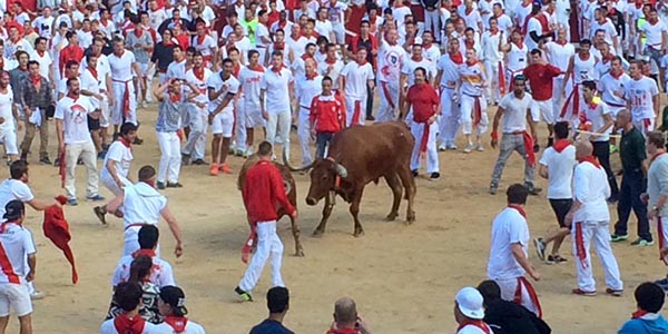 Bullrun-2 bullrun