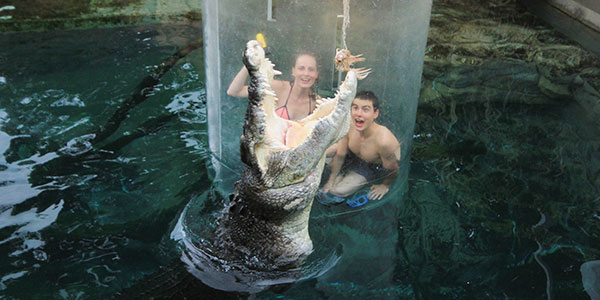 crocosaurus cove cage of death
