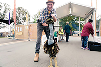 Folk-Festivals-National-Folk-Festival
