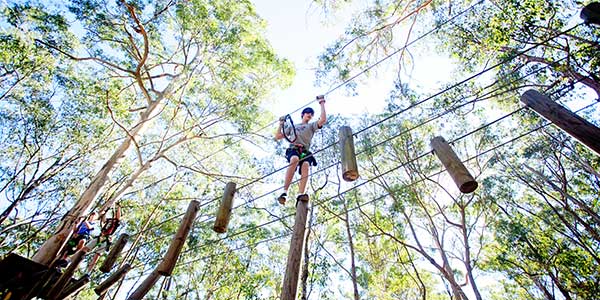 Thunderbird-Park-TreeTop-Challenge thunderbird park