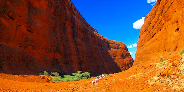 kata-tjuta contiki kata tjuta
