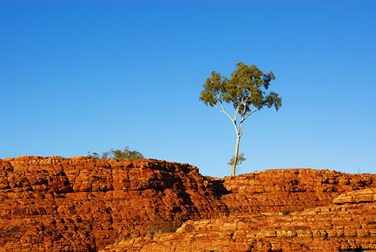 campervan adventures in the red centre