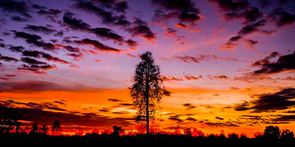 outback-sunrise-contiki-trys contiki outback sunrise
