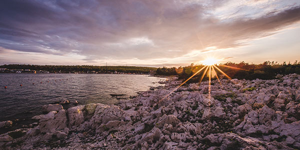 sonus festival