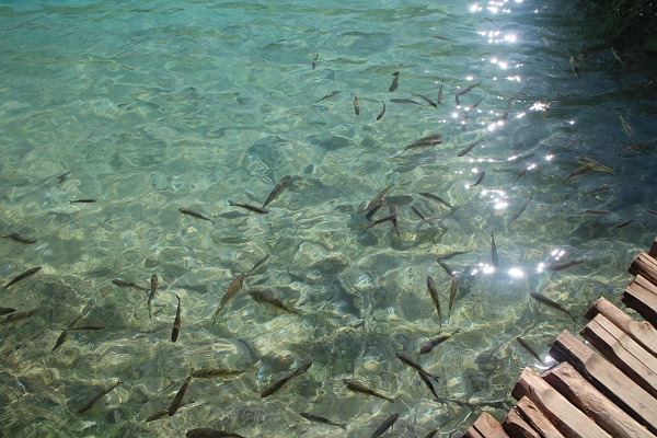 Plitvice Lakes