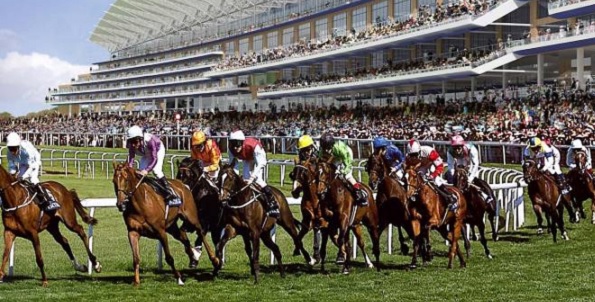 ascot ascot