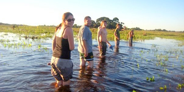 pantanal